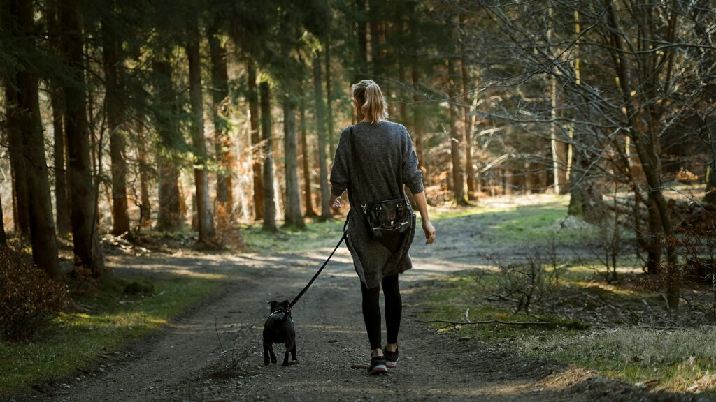wellness walks and depression