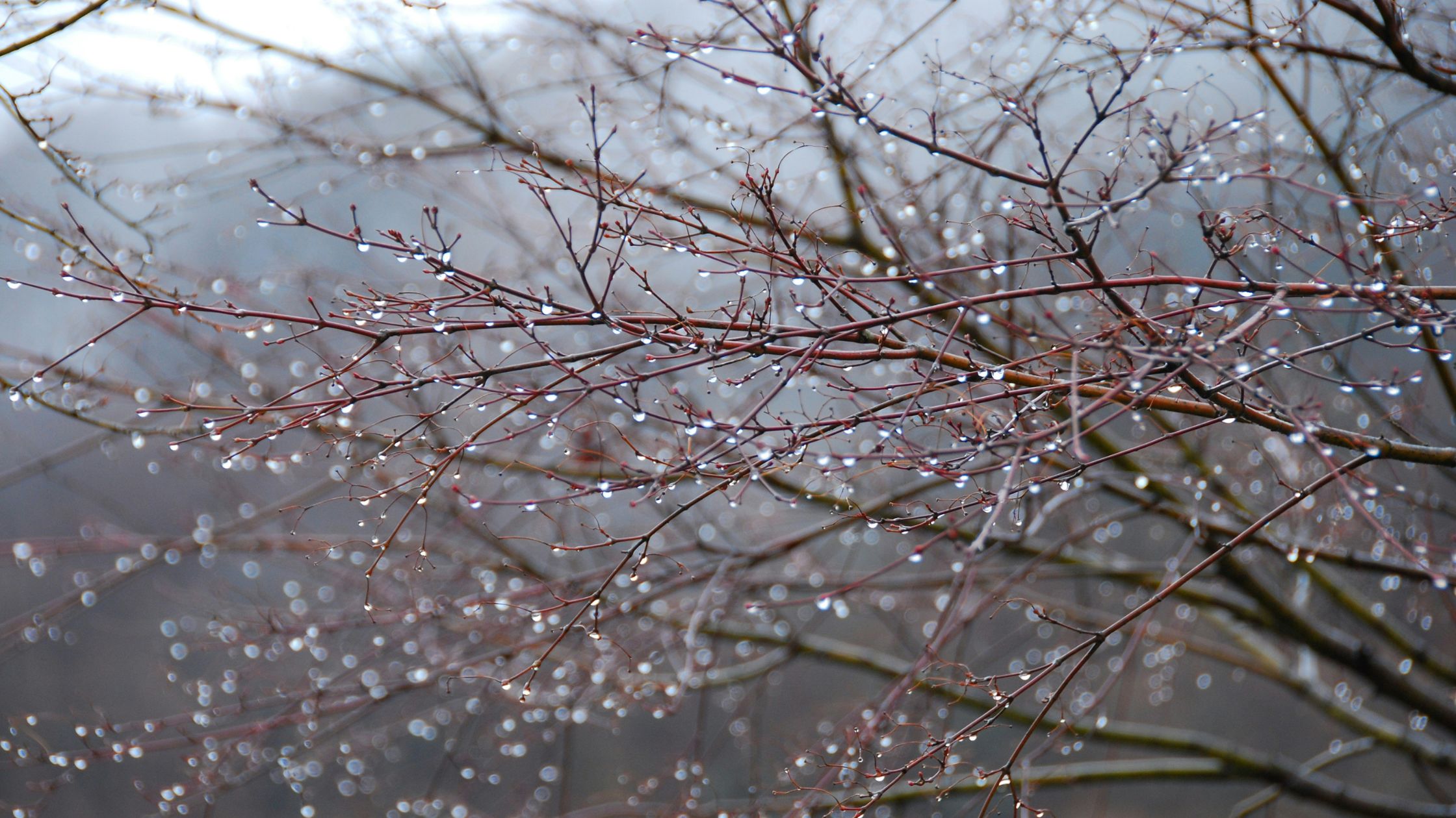 What is Seasonal Affective Disorder (SAD)