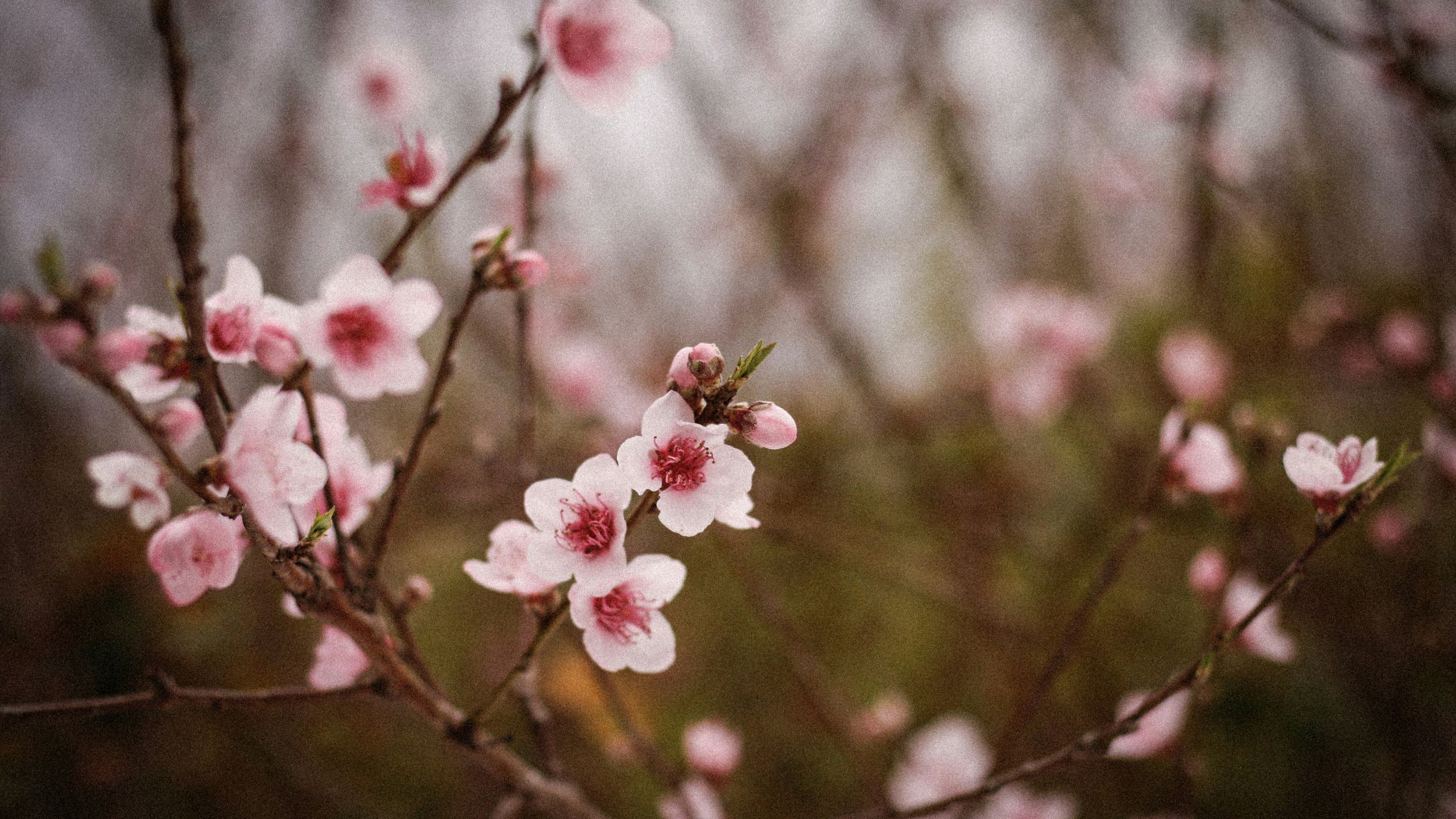 7 ways to cope with grief